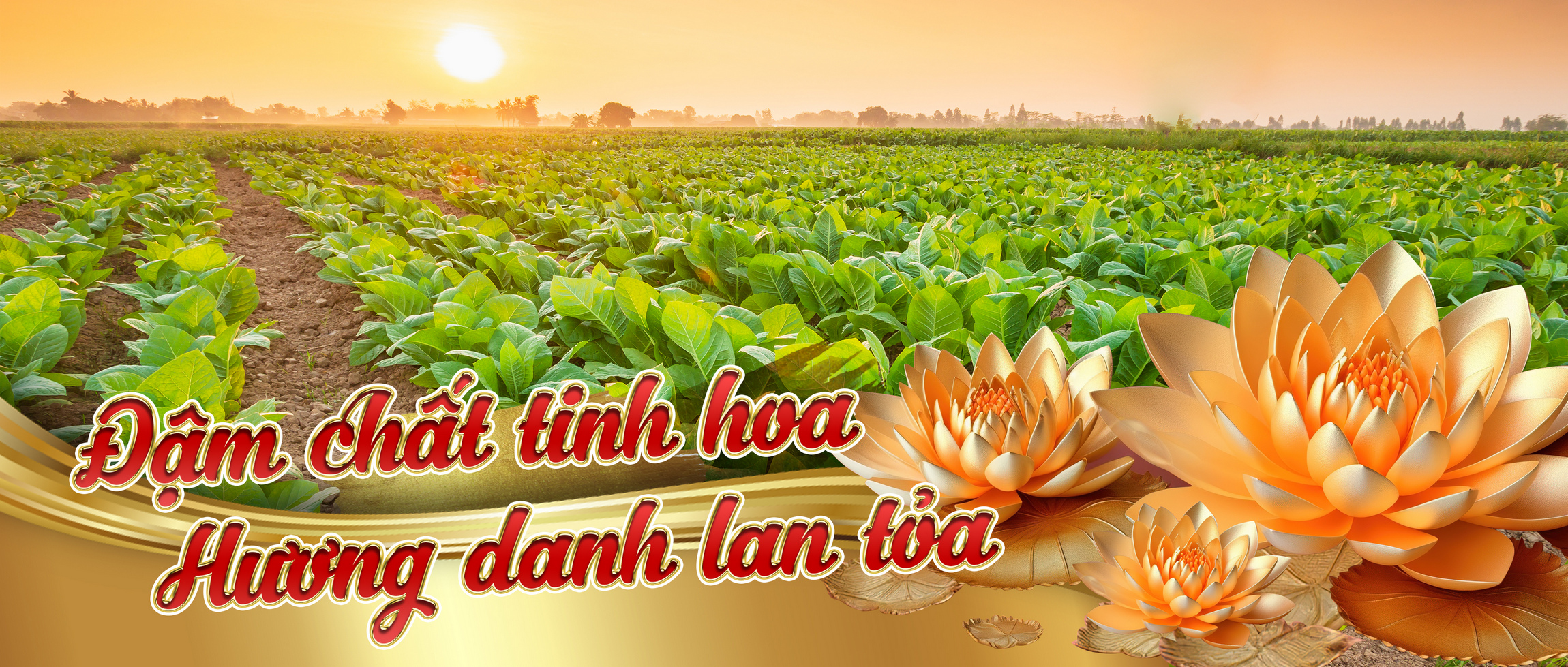 CÔNG TY TNHH MTV THUỐC LÁ THANH HÓA